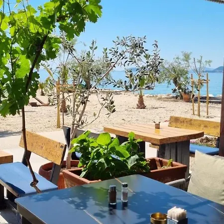 San Antonio Hotel 4*